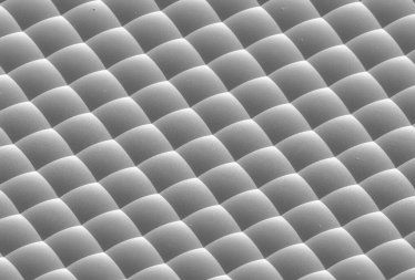 microlens arrays