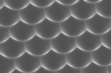 microlenses