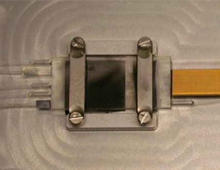 photonic integrated circuits