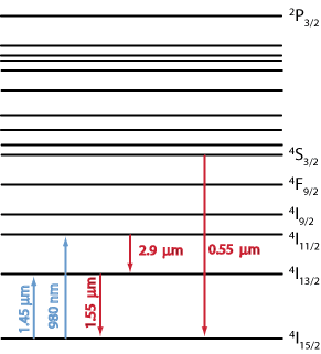 energy level structure of the trivalent erbium ion