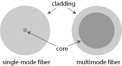 core of single-mode and multimode fiber