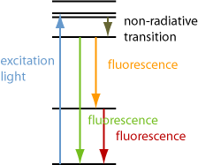 excitation of fluorescence