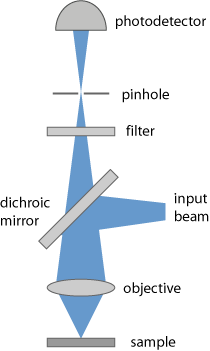 fluorescence microscope