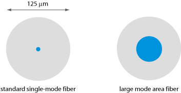 standard and large mode area fiber