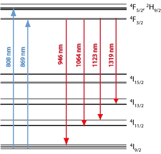 energy level structure of the trivalent neodymium ion in Nd:YAG