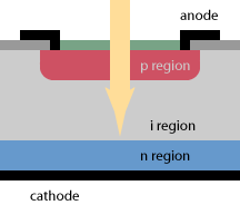 p–i–n photodiode