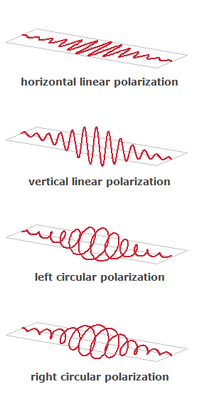 polarization states